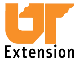 UTExension